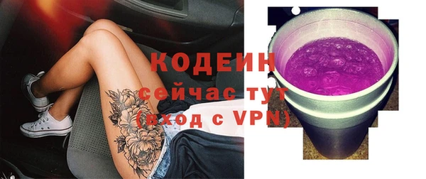 МДПВ Нефтегорск