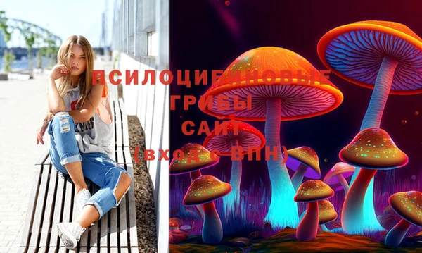 МДПВ Нефтегорск