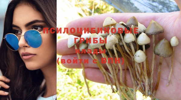 МДПВ Нефтегорск