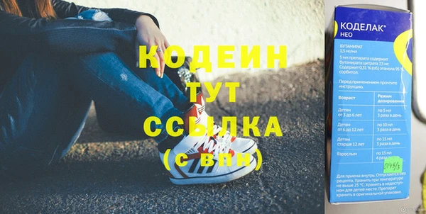 дмт Нея