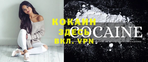 МДПВ Нефтегорск
