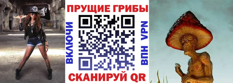 Галлюциногенные грибы Magic Shrooms  Купить где  Тавда 