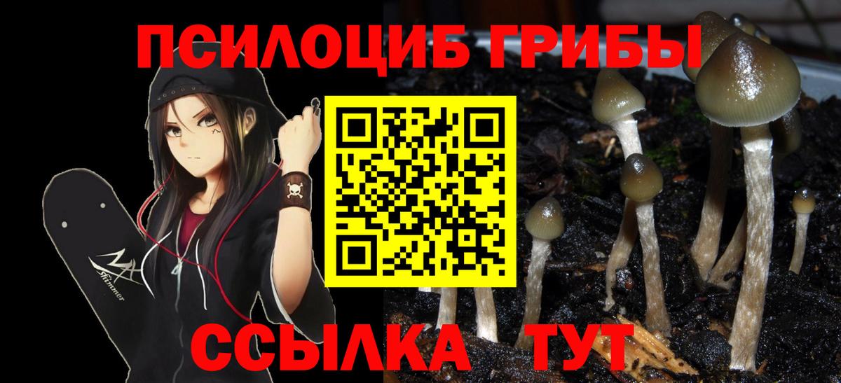 Псилоцибиновые грибы прущие грибы  Галлюциногенные грибы Psilocybine cubensis  Вход с VPN  Тавда 
